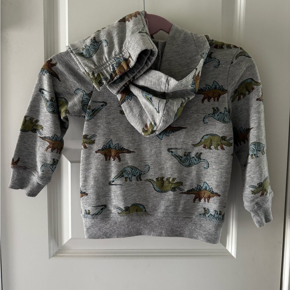Dinosaur Print Gray Kids Hoodie with matching bf pants